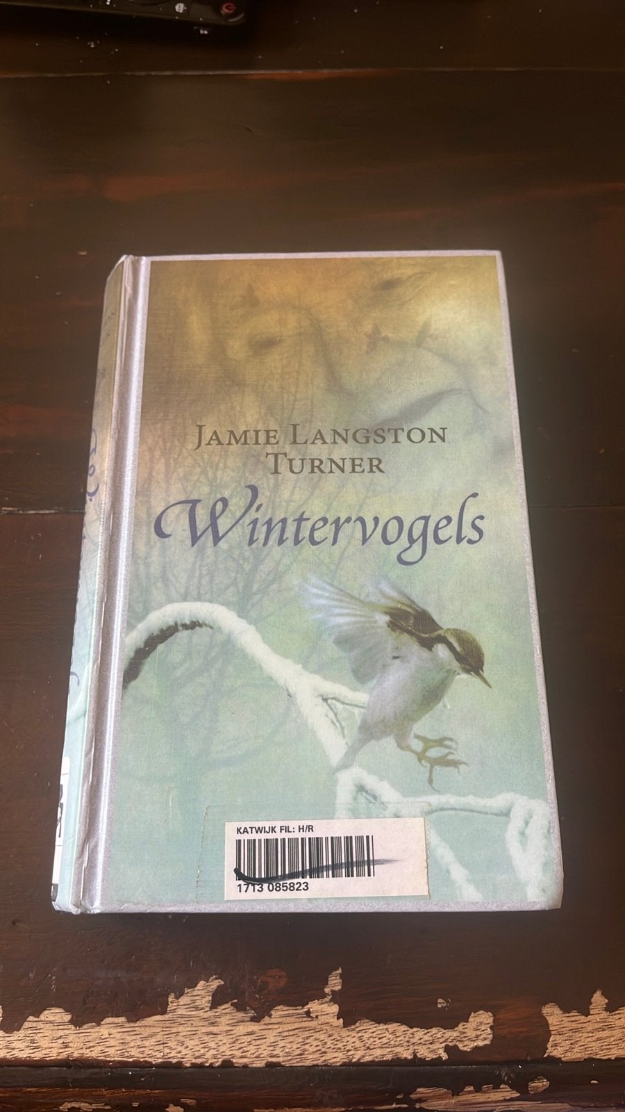 Wintervogels - Jamie Langston Turner (Boek), Boeken, Ophalen of Verzenden, Gelezen