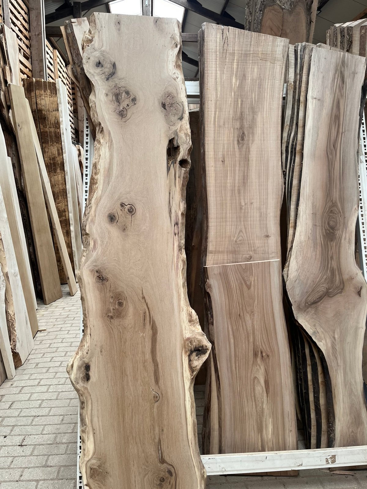 Oud eiken wandplanken iep olijf wortel noten esdoorn taxus, Ophalen, Nieuw, 50 tot 100 cm, Minder dan 100 cm
