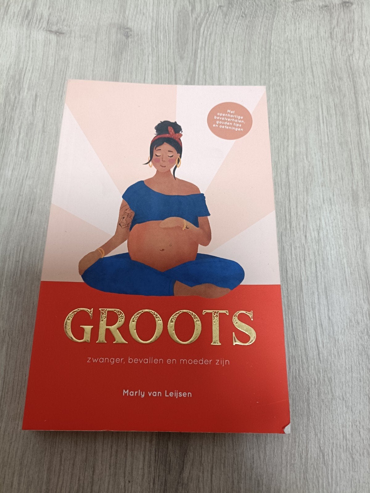 GROOTS: Zwanger, bevallen en moeder zijn - Marly van Leijsen, Ophalen of Verzenden, Gelezen, Zwangerschap en Bevalling, Marly van Leijsen