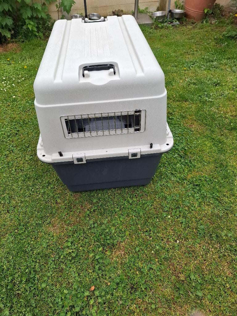 Transportbox hond, Ophalen, Zo goed als nieuw