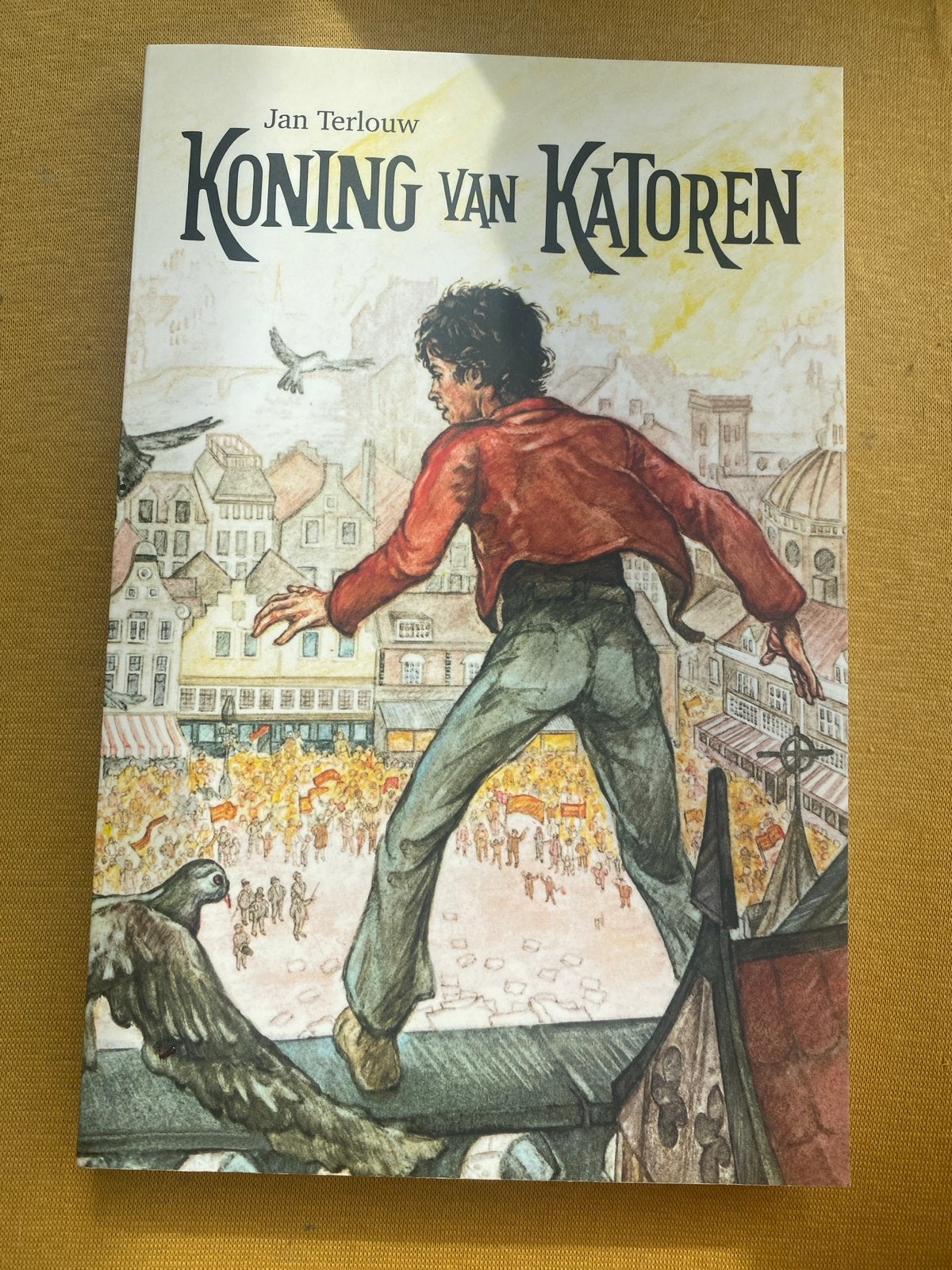 Koning van Katoren - Jan Terlouw, Ophalen of Verzenden, Zo goed als nieuw, Fictie algemeen