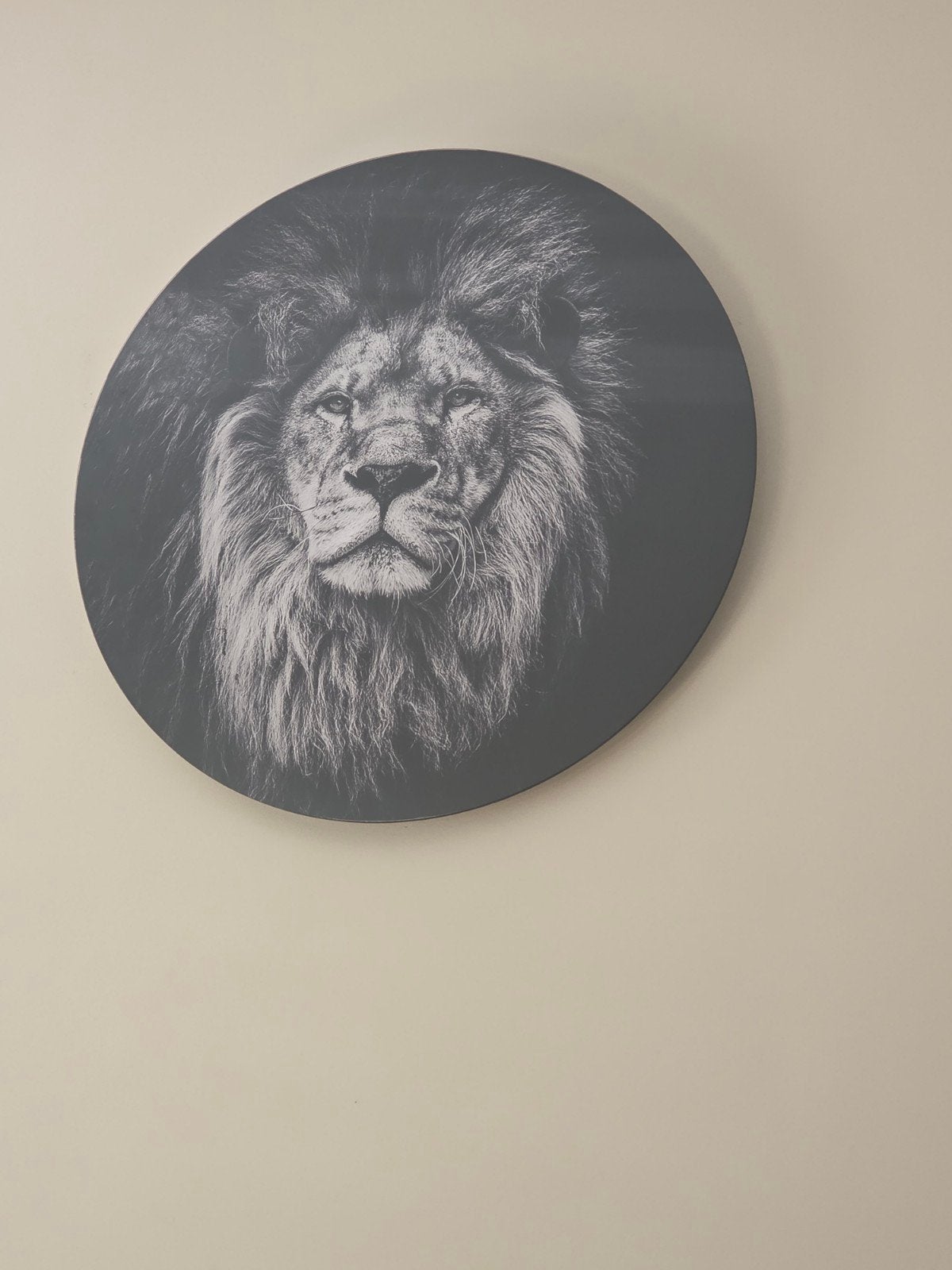 Te koop :Gekaderd schilderij van leeuw, doorsnede 60 cm, Huis en Inrichting, Ophalen, 50 – 75, Zo goed als nieuw, Schilderij