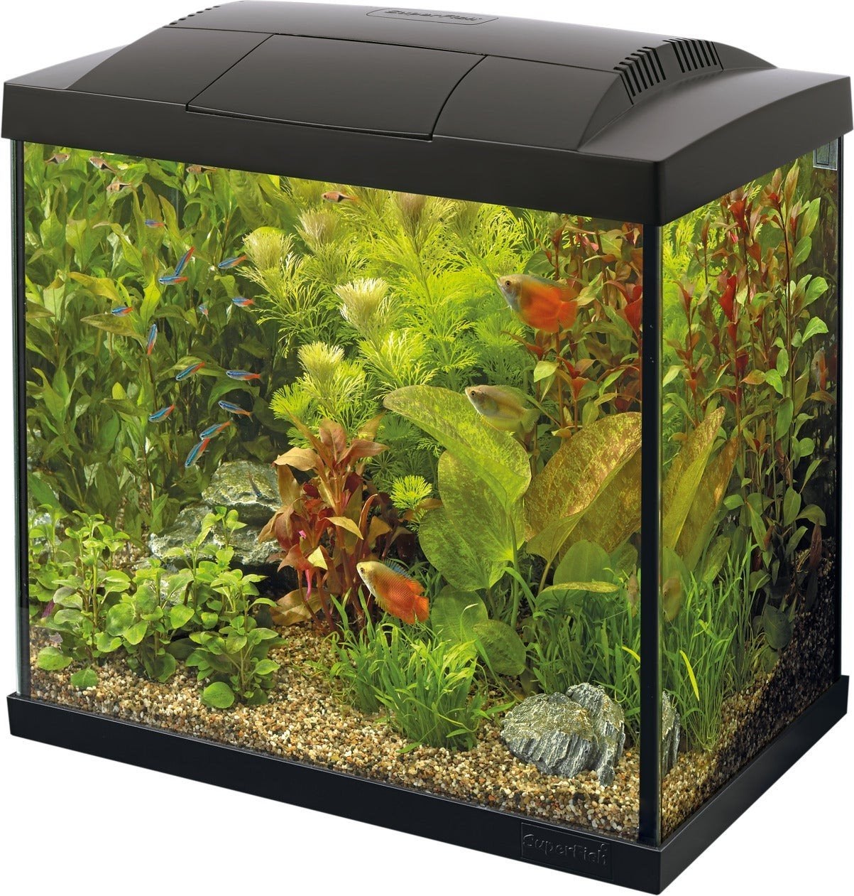 aquarium 25 liter, Ophalen of Verzenden, Zo goed als nieuw, Leeg aquarium