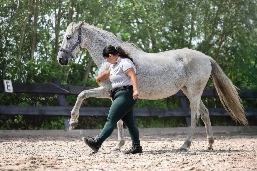 Proeflesdag ponyclub lessen, Diensten en Vakmensen, Dieren | Paarden | Verzorging, Oppas en Les