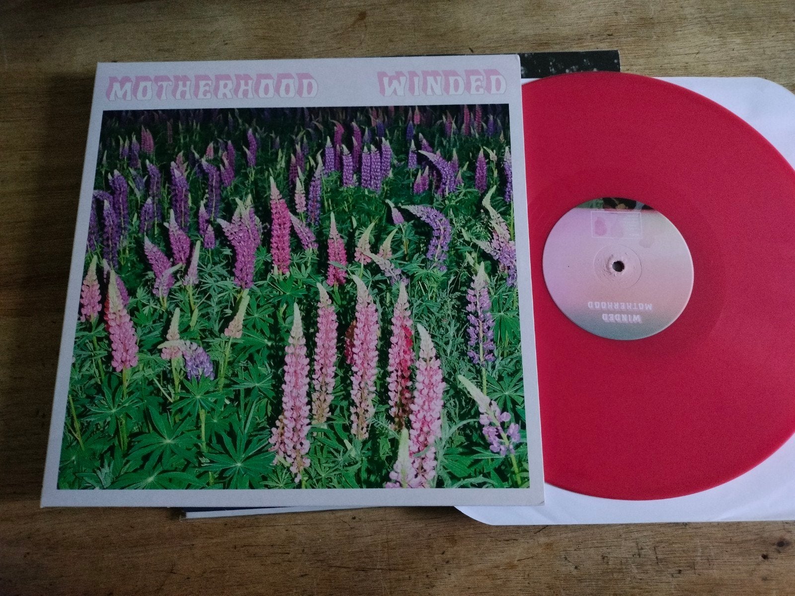 art rock MOTHERHOOD : WINDED, Cd's en Dvd's, Ophalen of Verzenden, Zo goed als nieuw, 12 inch, Alternative Rock