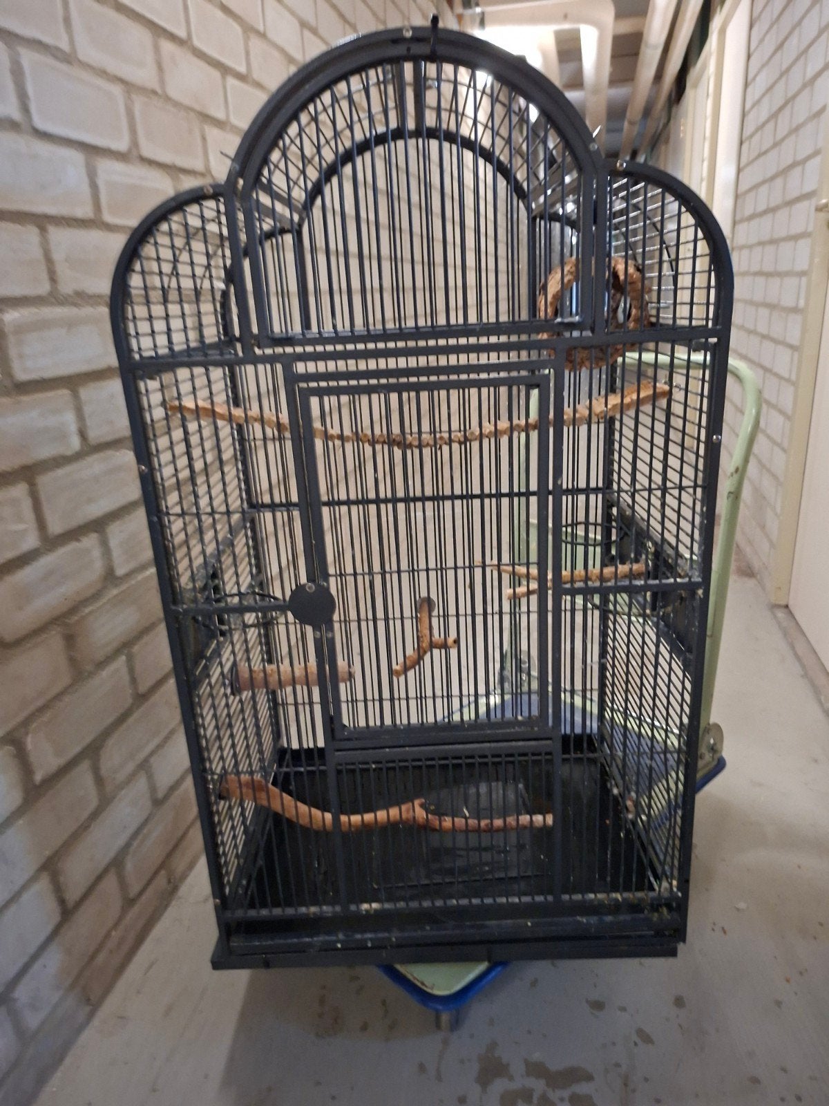 grote  zware vogelkooi, Ophalen, Gebruikt, Metaal, Vogelkooi