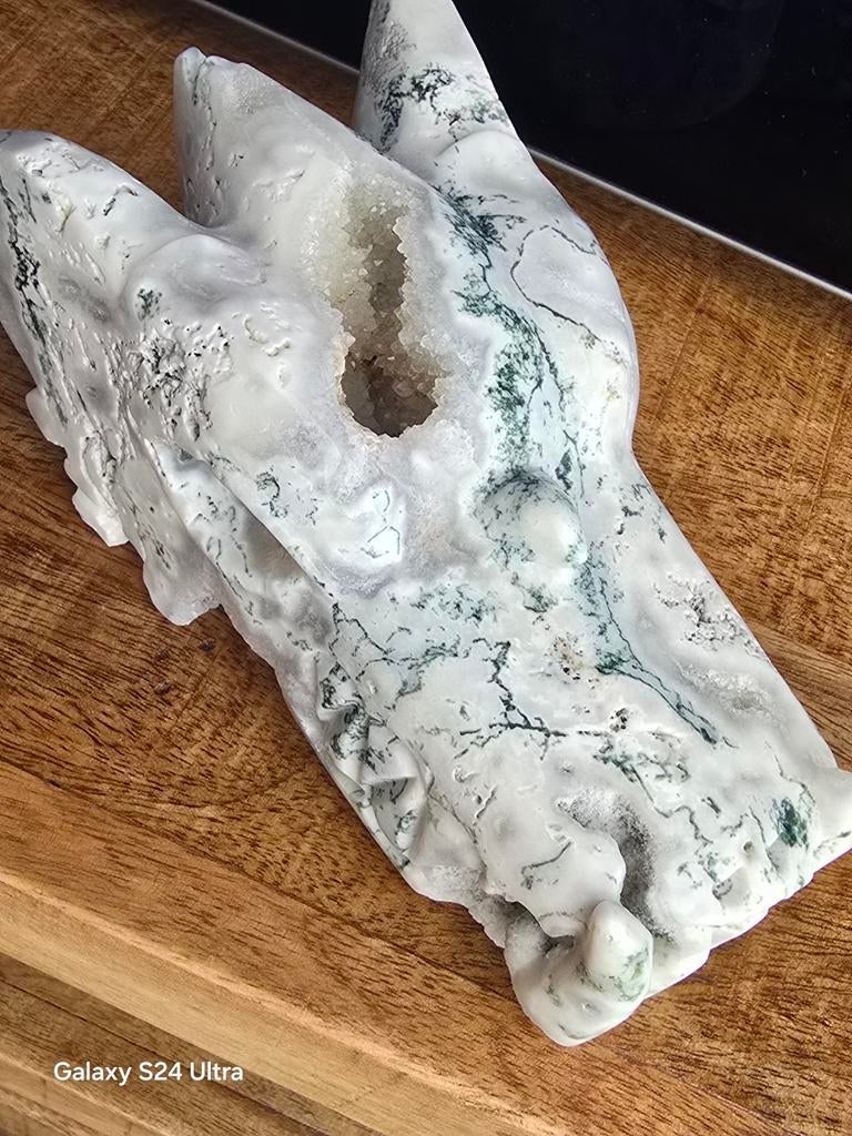 Drakenkop van mosagaat, Ophalen of Verzenden