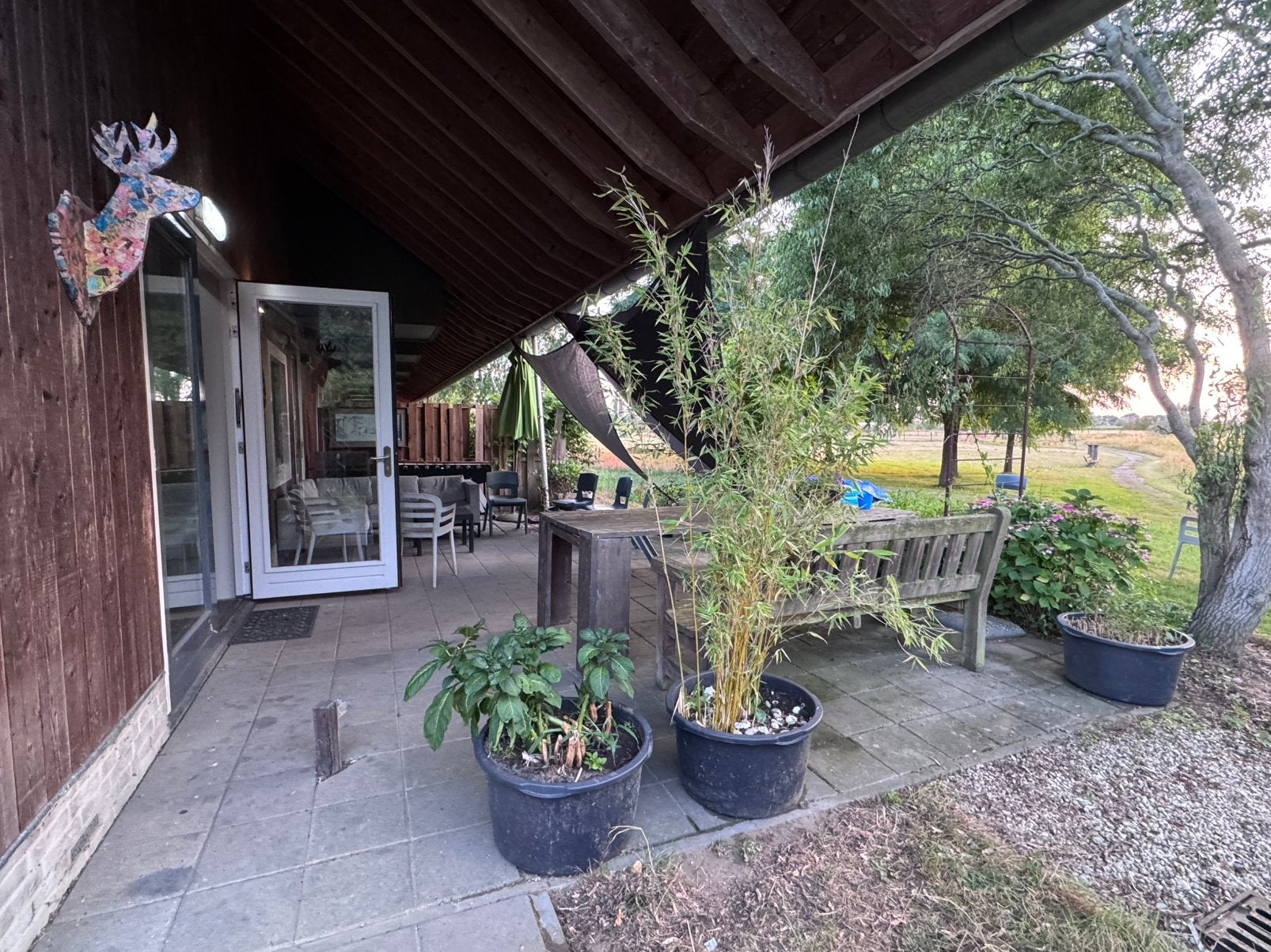 GEZOCHT: Planten, plantenbakken, tuinaccessoires, Ophalen, Kunststof, 40 cm of meer, Rond