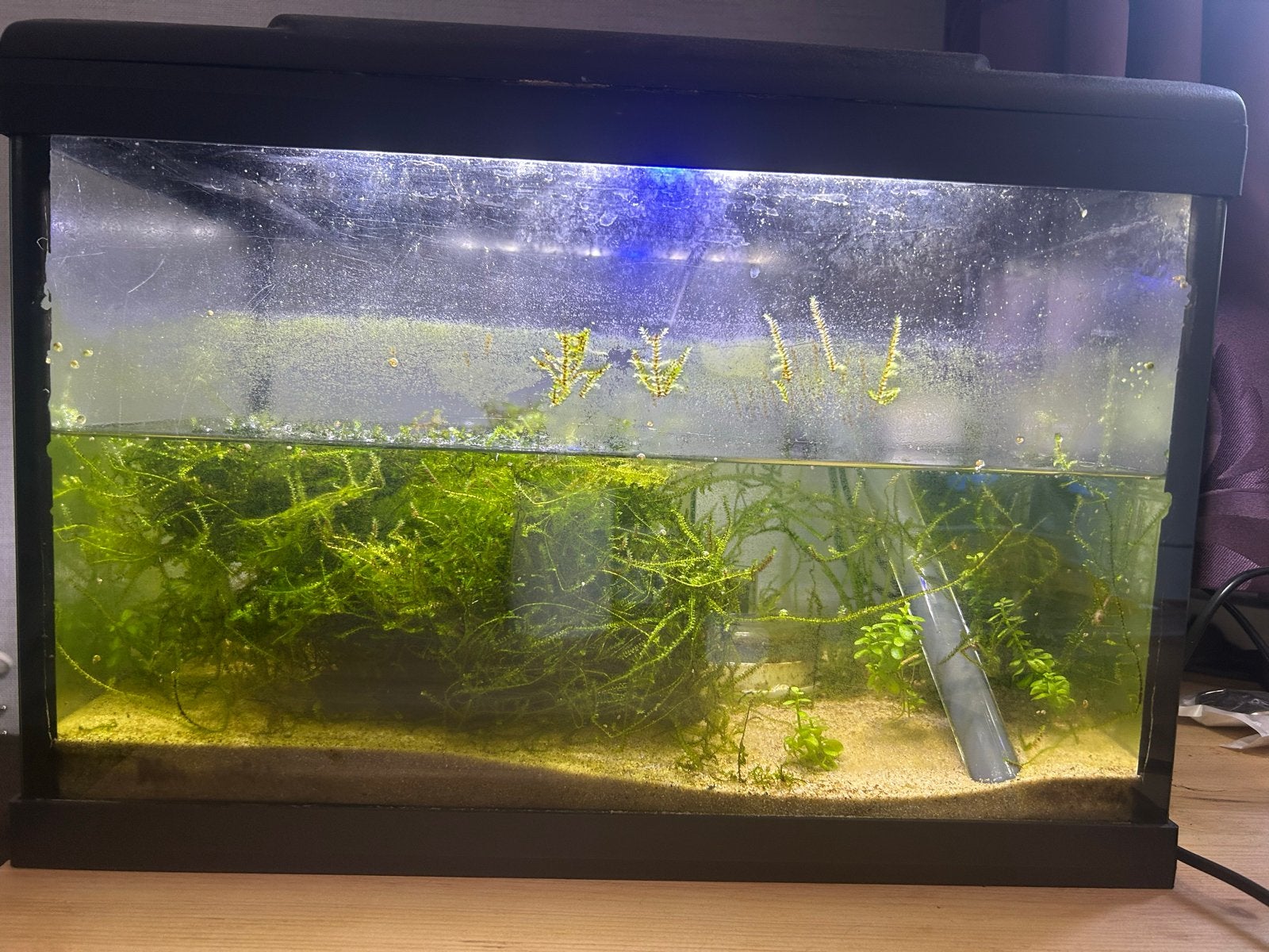 Complete Aquarium, Ophalen, Leeg aquarium