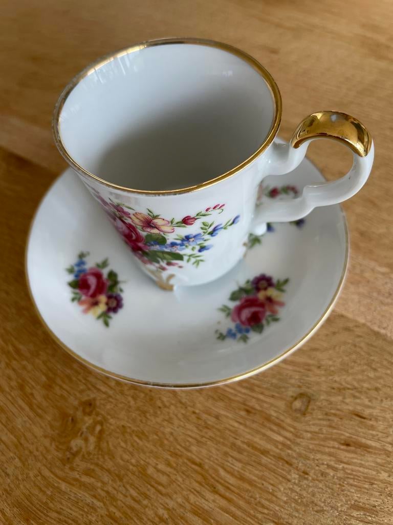Vintage Bareuther Waldsassen Bavaria kop en schotel, Ophalen