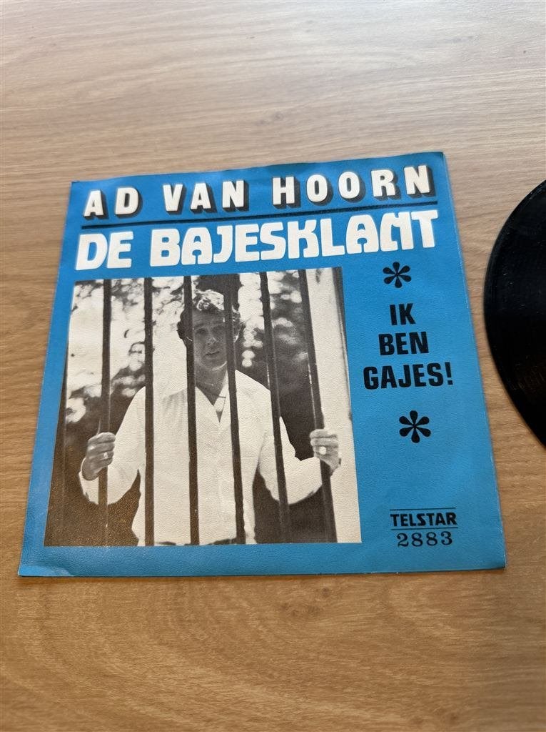 Ad van Hoorn - De Bajesklant, Ophalen of Verzenden, Zo goed als nieuw, Nederlandstalig