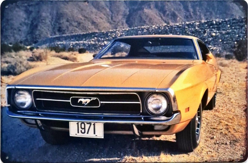 Wandbord, American Special car, Ford Mustang, metaal deco, Ophalen of Verzenden, Nieuw, Metaal, Decoratieobject