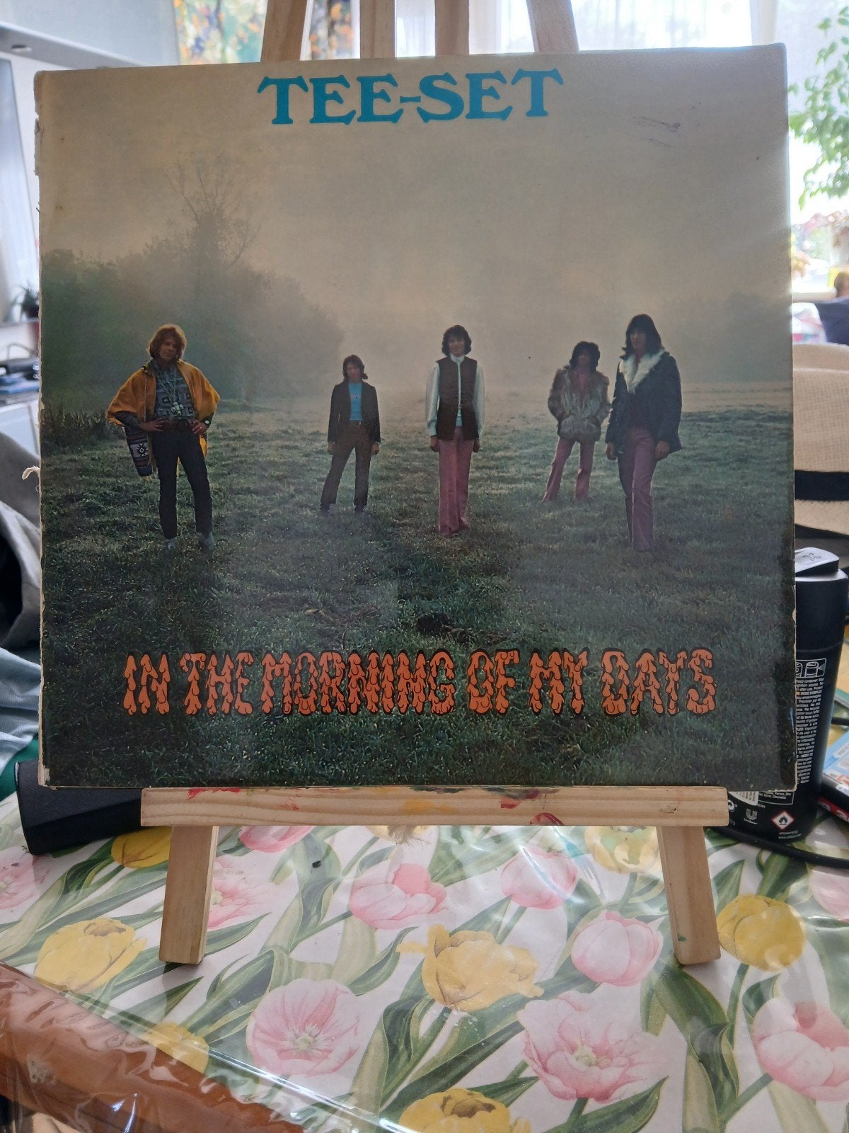 Tee-Set - In the Morning of My Days LP (1969), LP, Gebruikt, Pop, Ophalen of Verzenden