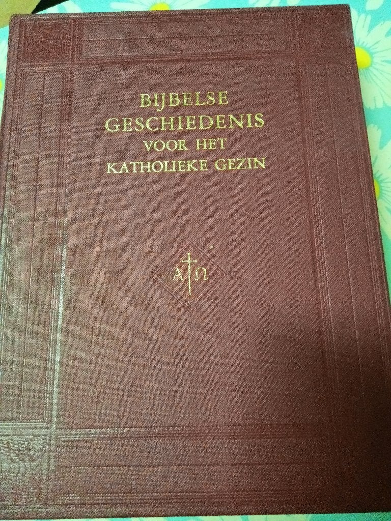 Bijbelse geschiedenis voor het katholieke gezin, Ophalen of Verzenden, Gelezen, FXM Schiphorst, Christendom | Katholiek