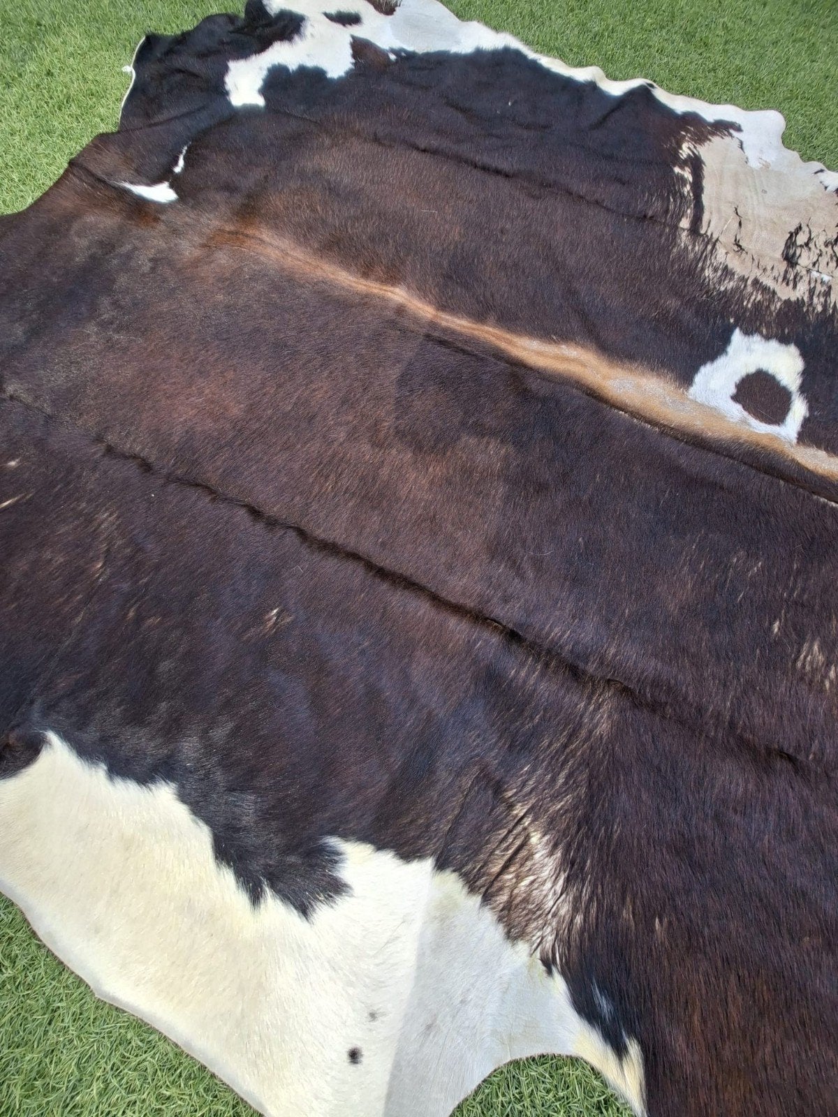 Prachtige koeienhuid - 2.25m lang, 2.15m breed, Ophalen, 200 cm of meer, Zo goed als nieuw, 200 cm of meer