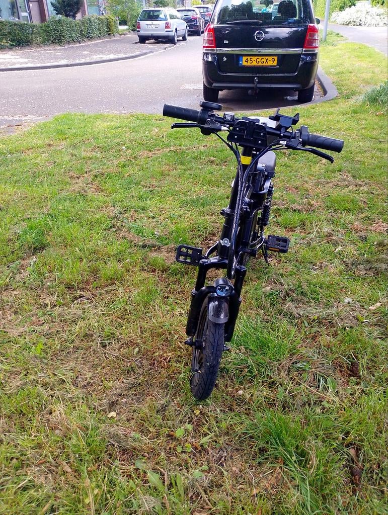 elektrische fouwfiets, Ophalen, Overige merken