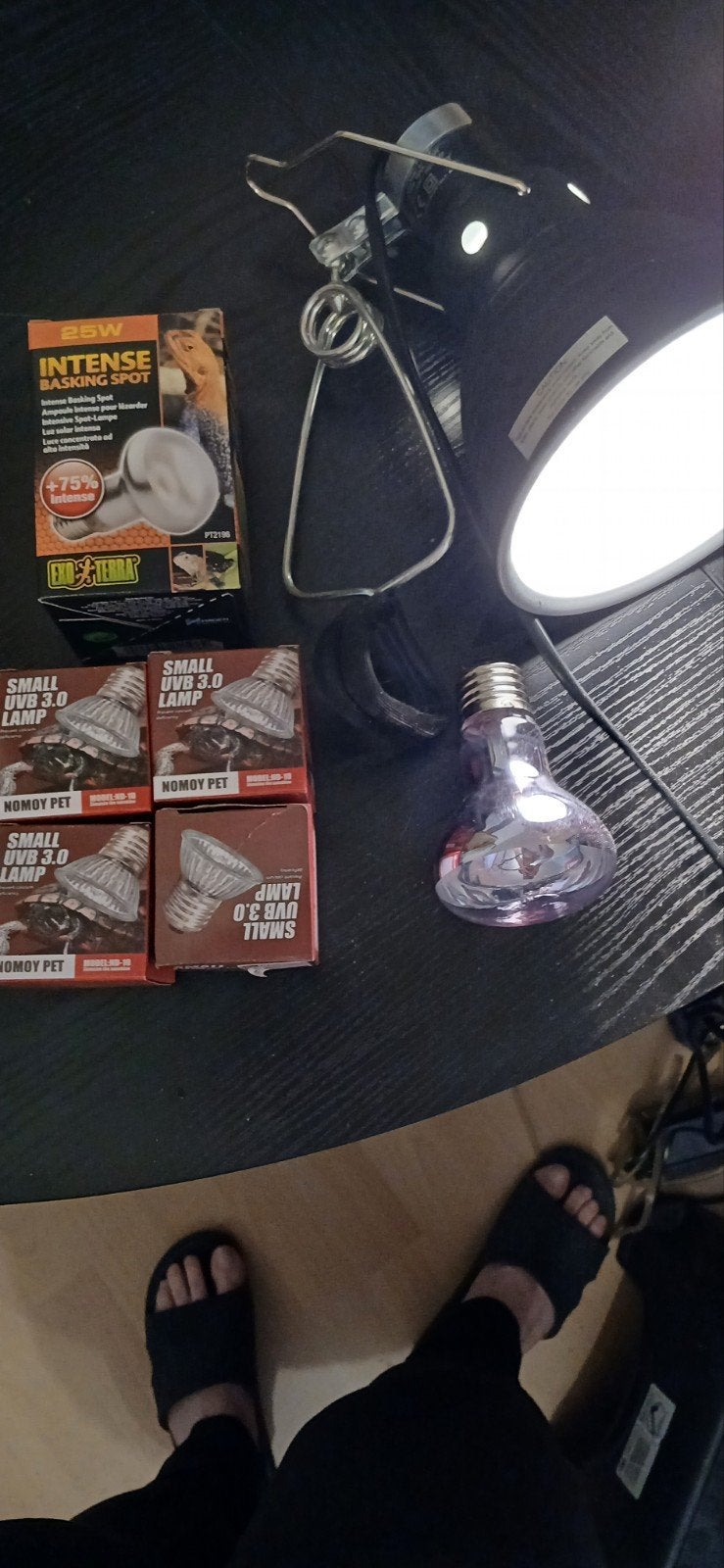 Reptielen lampen met basket, Ophalen