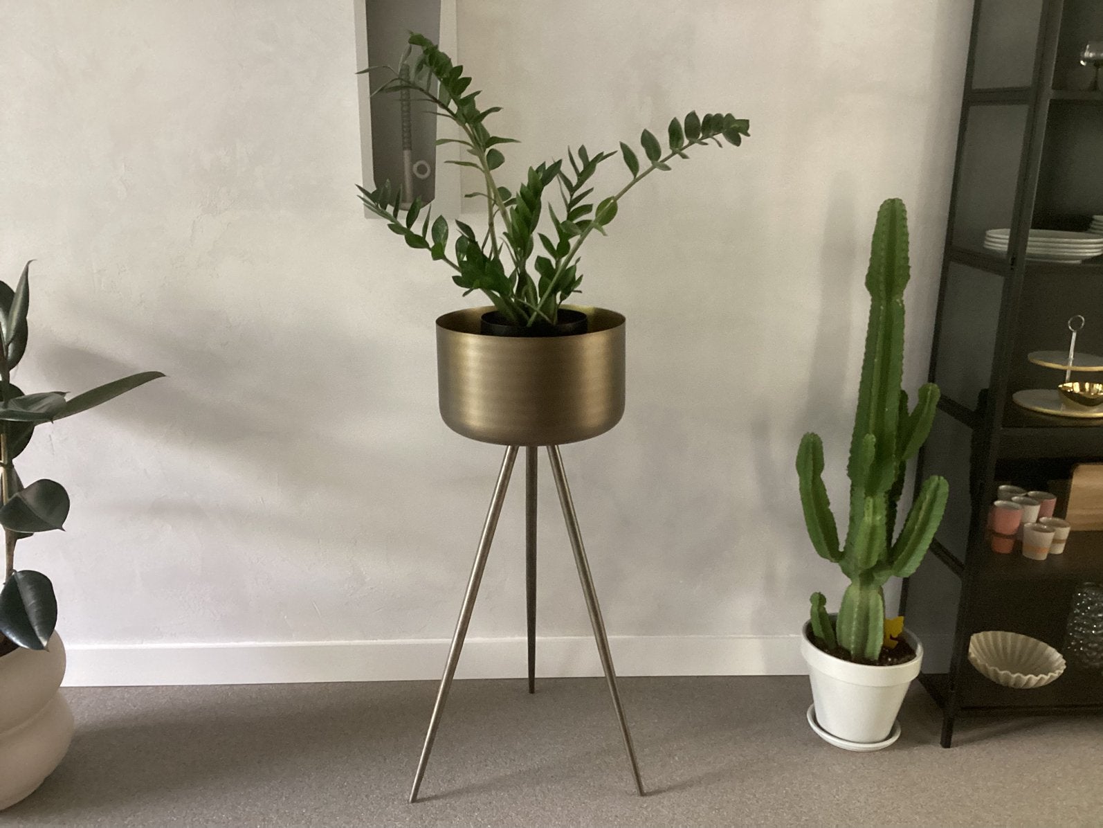 Plantenstander, Ophalen, Zo goed als nieuw
