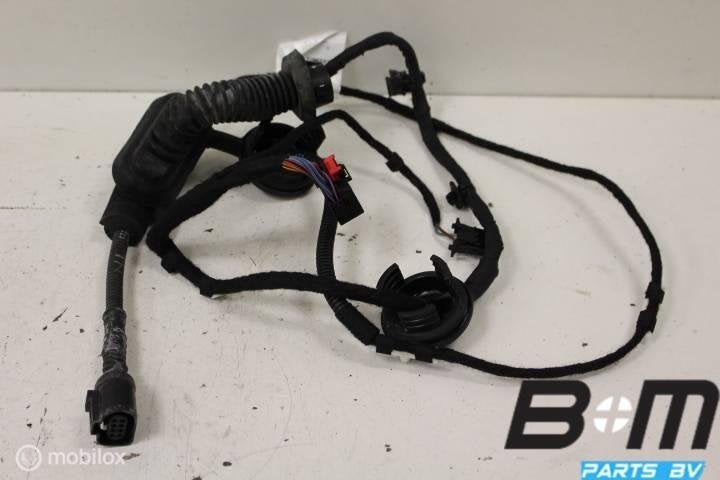 Kabelboom in deur rechts Audi A3 8P 3 deurs 8P3971030AE, Gebruikt