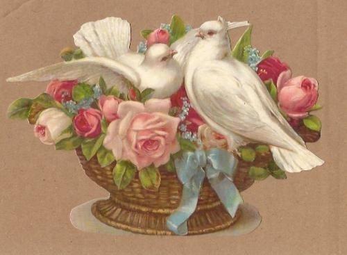 Geluks duiven in bloemenmandje poezieplaatjes 5174, Ophalen of Verzenden