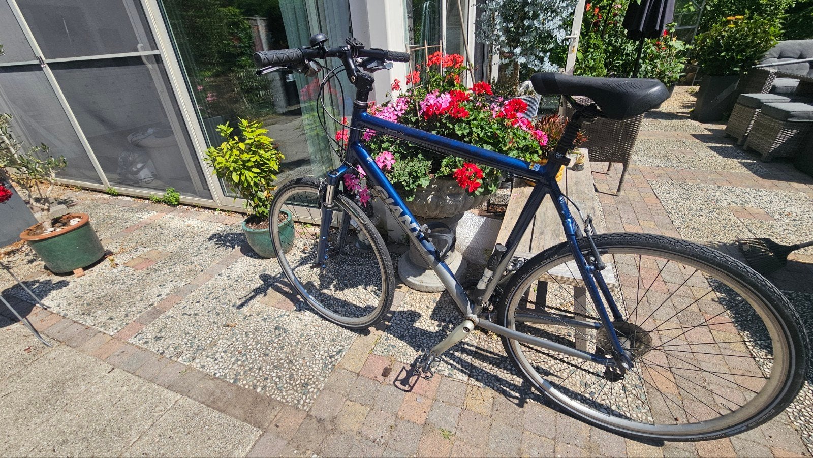 Giant fiets met groot frame, inclusief pompje en bidonhouder, Fietsen en Brommers, Fietsen | Heren | Sportfietsen en Toerfietsen