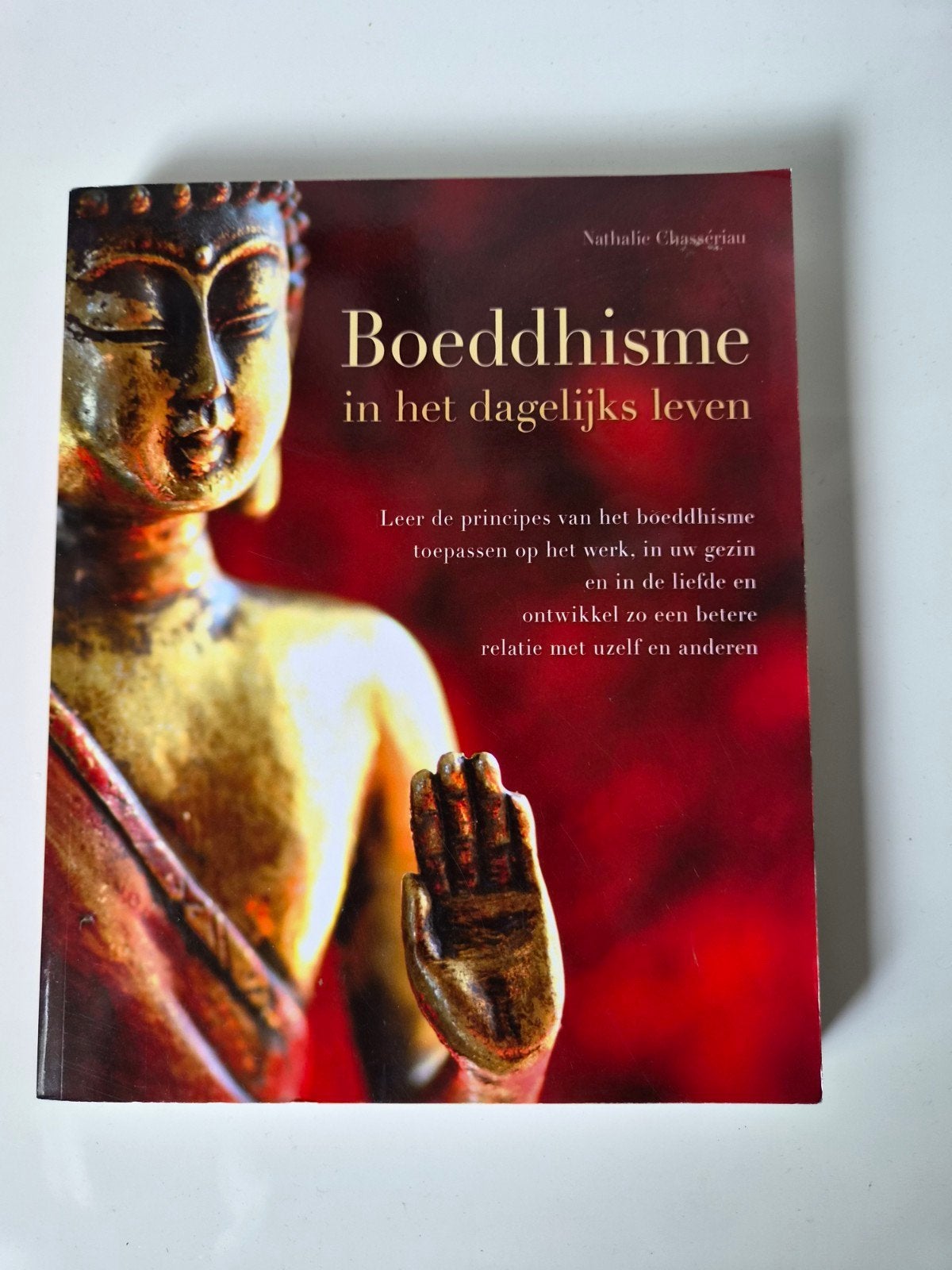 Het inspirerende boek Boeddhisme in het dagelijks leven, Ophalen of Verzenden, Nieuw