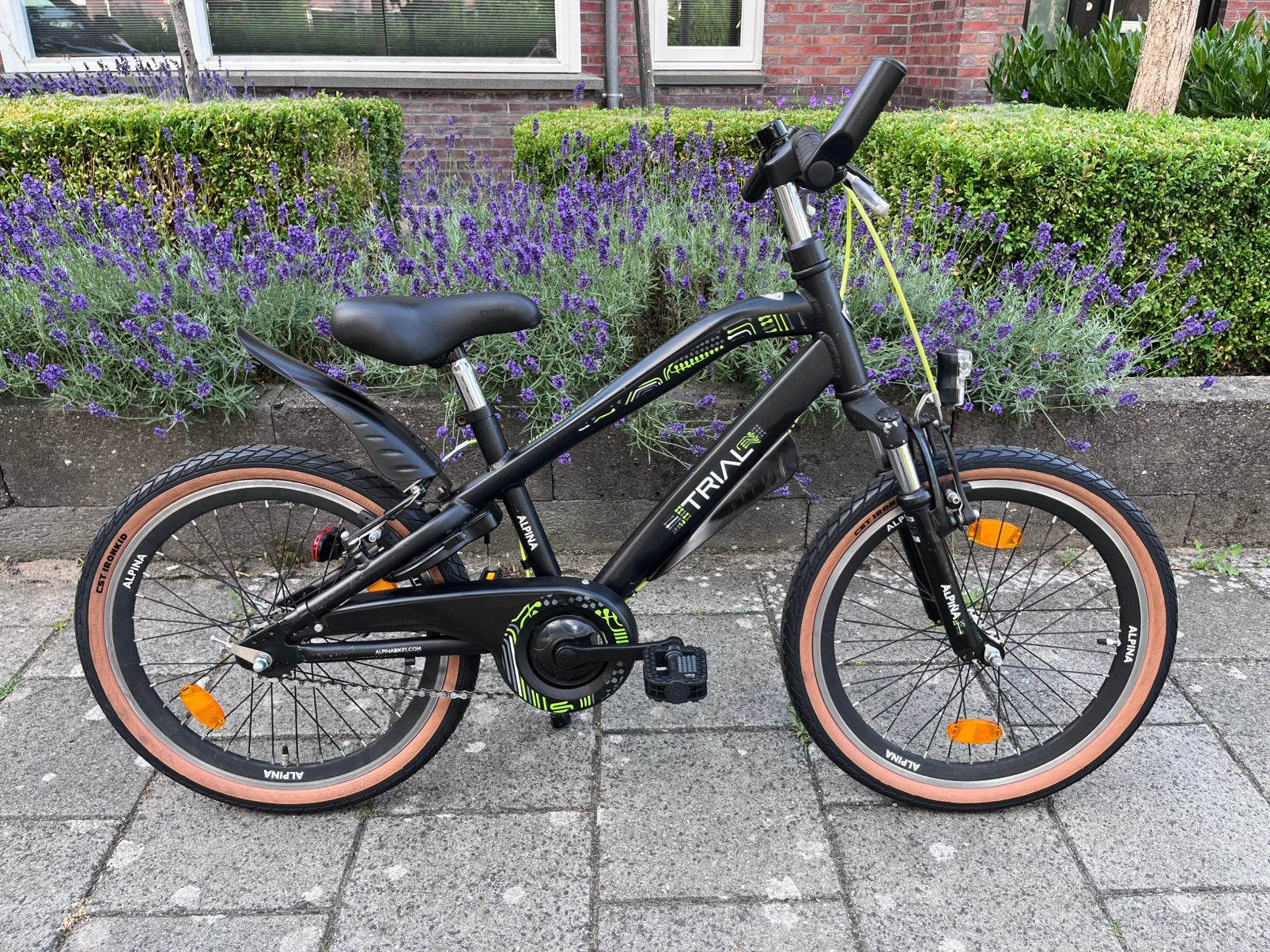 20 inch Alpina TRIAL // Stoere jongensfiets, Ophalen, Velgrem, 20 inch, Handrem