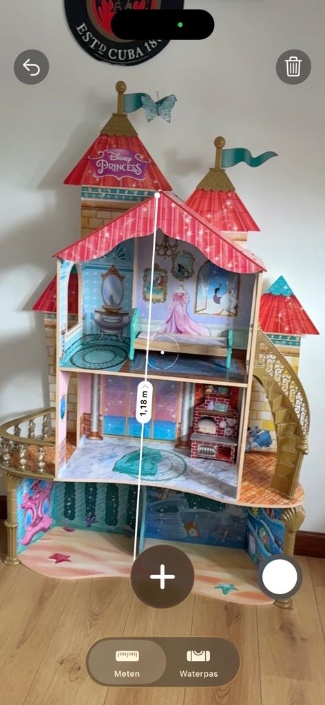 Disney Princess Kasteel Poppenhuis - Groot en Compleet, Kinderen en Baby's, Speelgoed | Poppenhuizen, Ophalen, Gebruikt, Poppenhuis
