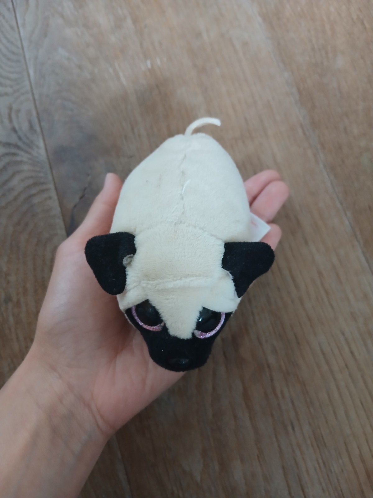 Schattige Ty Beanie Boo Mopshond Knuffel, Ophalen, Hond, Zo goed als nieuw, Klein (minder dan 20 cm)