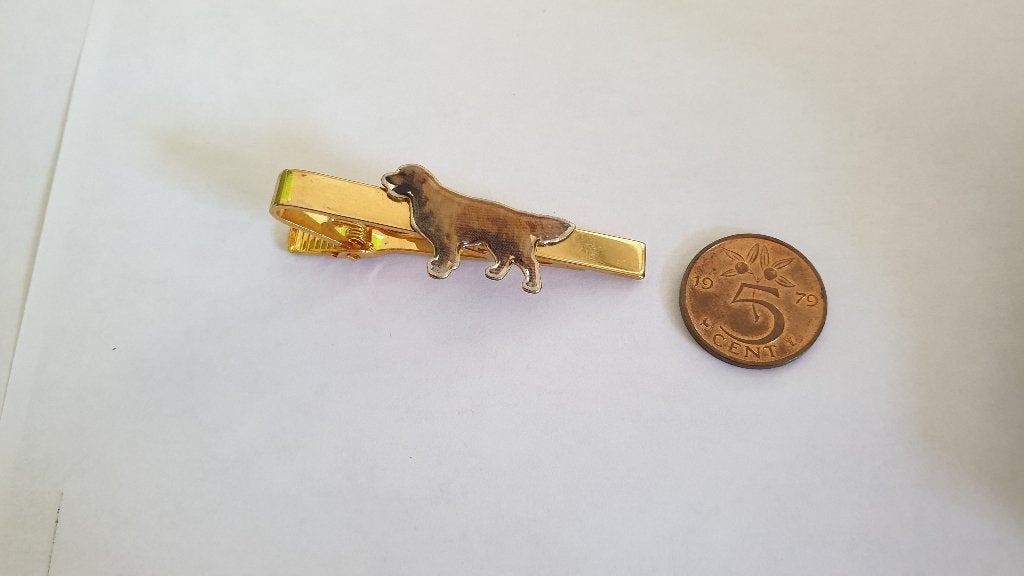 0690 broche en/of dasspeld met een golden retriever, Verzenden, Nieuw, Goud, Overige materialen