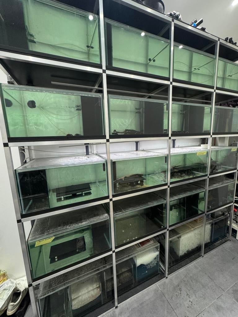 Kweekstelling aquarium proffesioneel + bioloog, Ophalen, Zo goed als nieuw, Leeg aquarium
