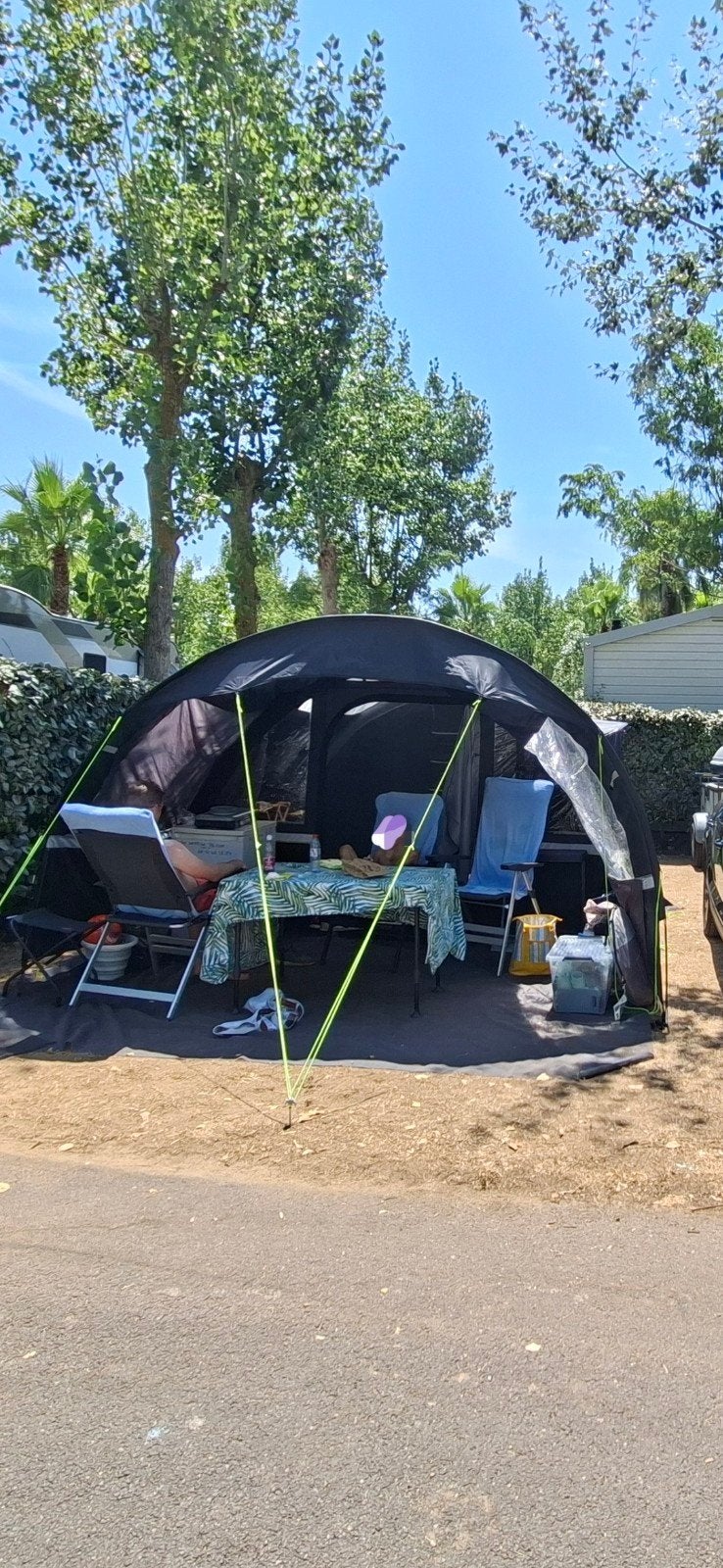 Obelink Portico Polyester Tent - Ruime en comfortabele tent, Ophalen, Gebruikt, Tot en met 4