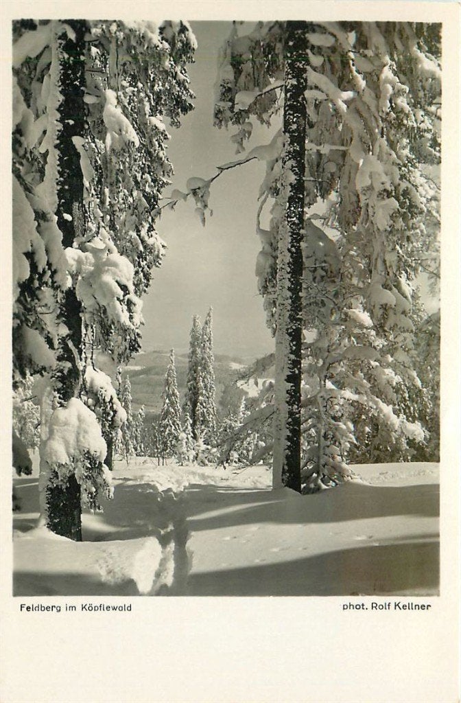 701-481-041 Feldberg im Köpflewald, Ophalen of Verzenden, Voor 1920, Duitsland