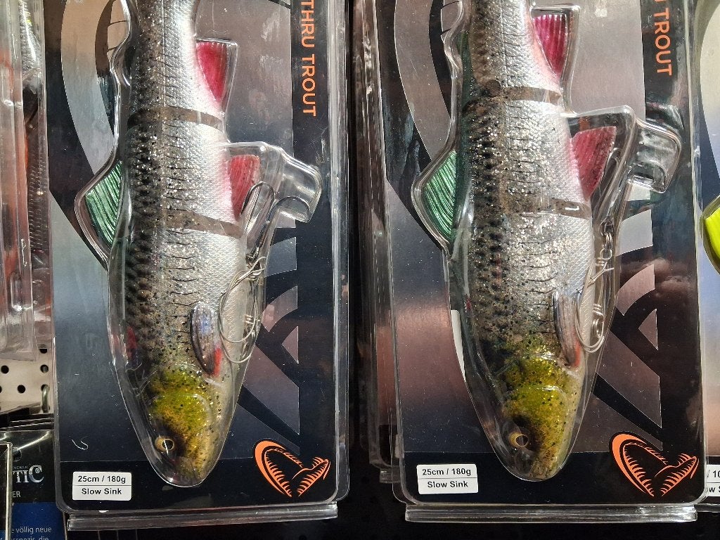 4D Line Thru Trout 25cm/180g Slow Sinking...Nieuw!, Watersport en Boten, Hengelsport | Roofvissen, Tinstraat, Savage Gear, Overige typen