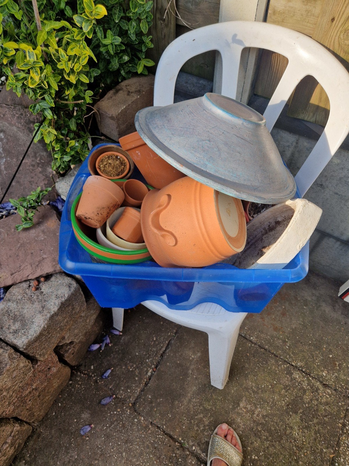 Diverse terracotta bloempotten en plantenbakken, Ophalen