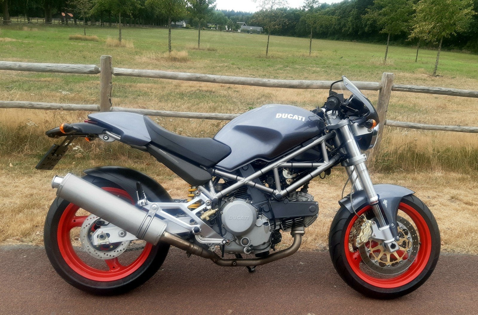 Mooie Ducati Monster 620 S ie in Senna livery incl onderhoud, Occasion, Motorrijbewijs A, Particulier, Meer dan 35 kW
