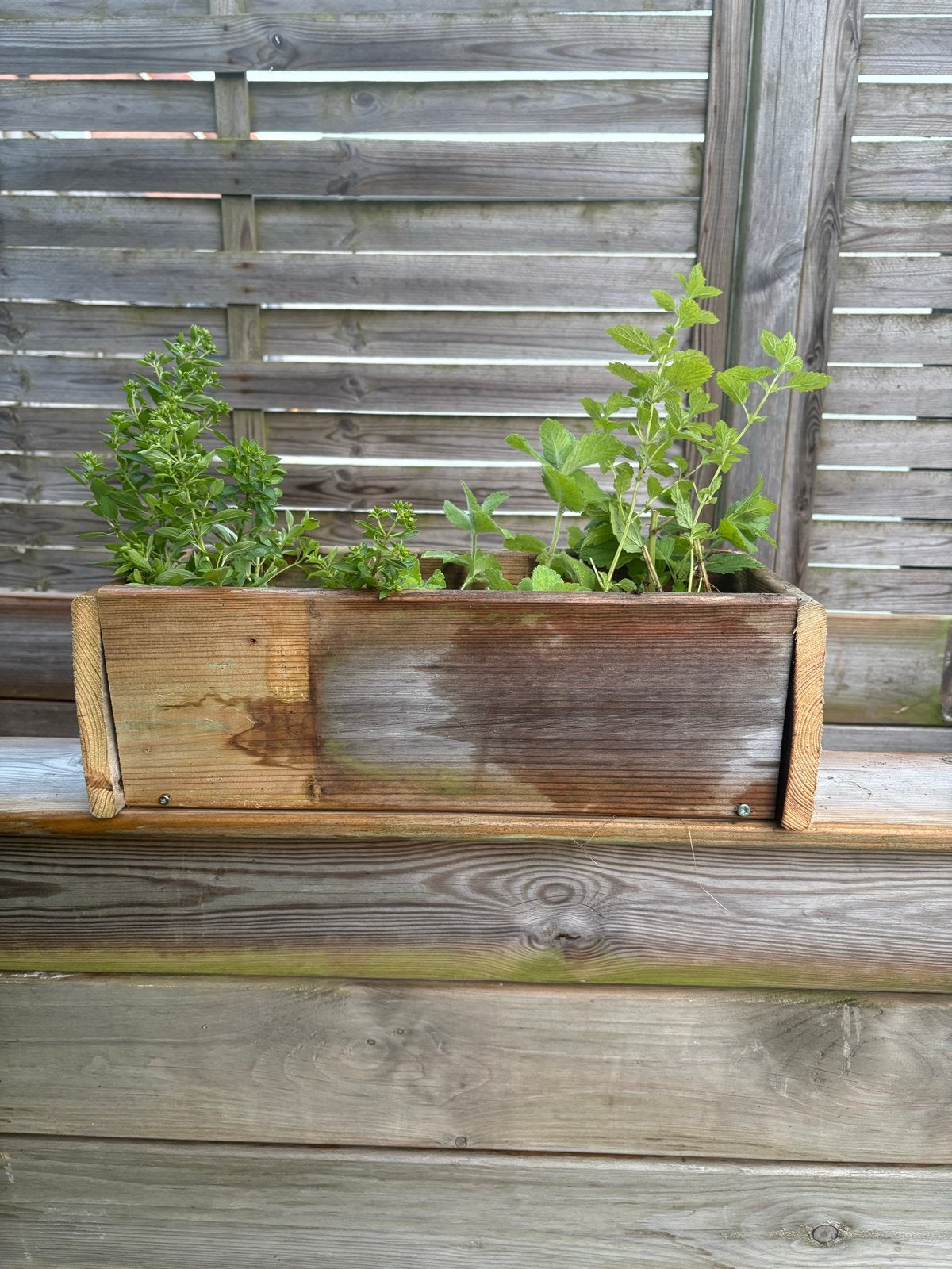 Kruidenbak met Citroenmelisse, Ananasmunt en Oregano, Tuin en Terras, Bloembakken en Plantenbakken, Ophalen, Minder dan 30 cm