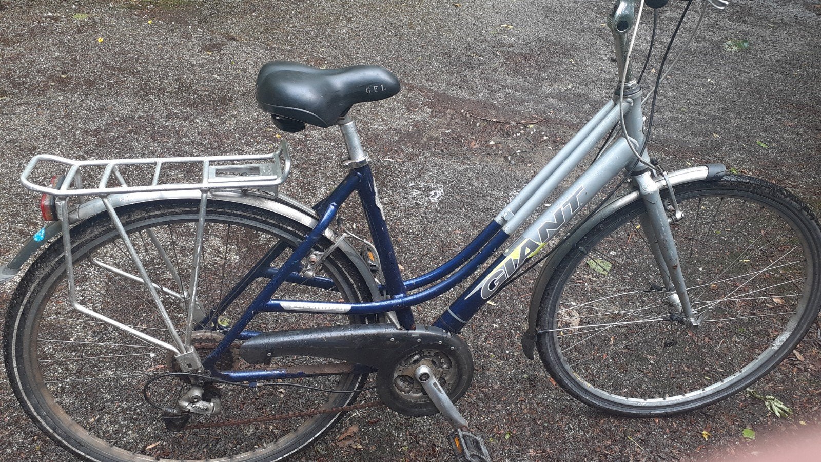 Giant Freerider Damesfiets - Comfortabel en Robuust, Velgrem, Versnellingen, 53 tot 56 cm, Gebruikt