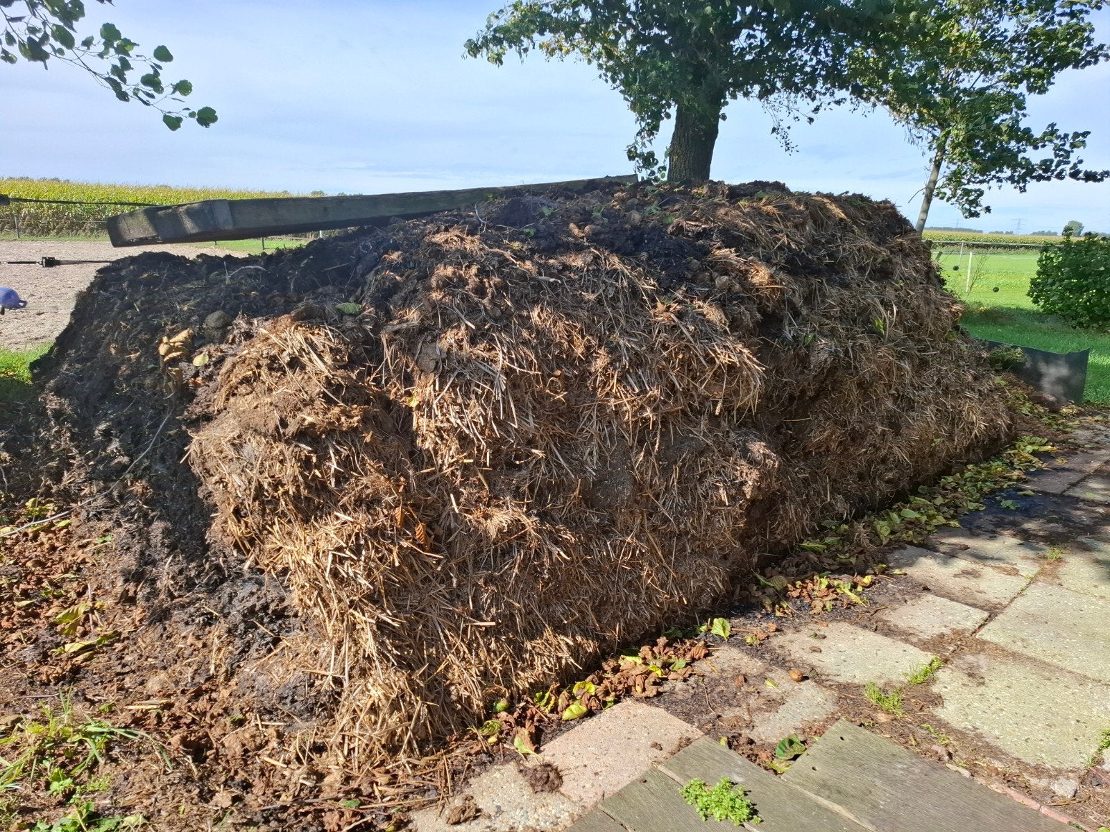 paardenmest gratis af te halen, Ophalen, Mest
