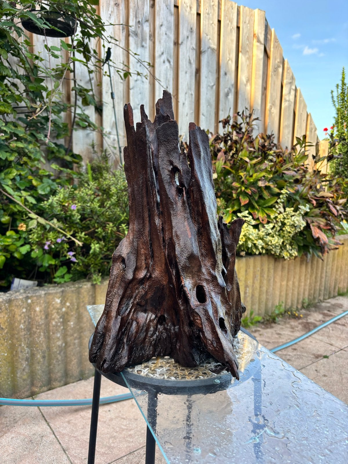 Uniek stuk hout voor aquarium, Dieren en Toebehoren, Ophalen, Gebruikt, Plant(en), Steen of Hout