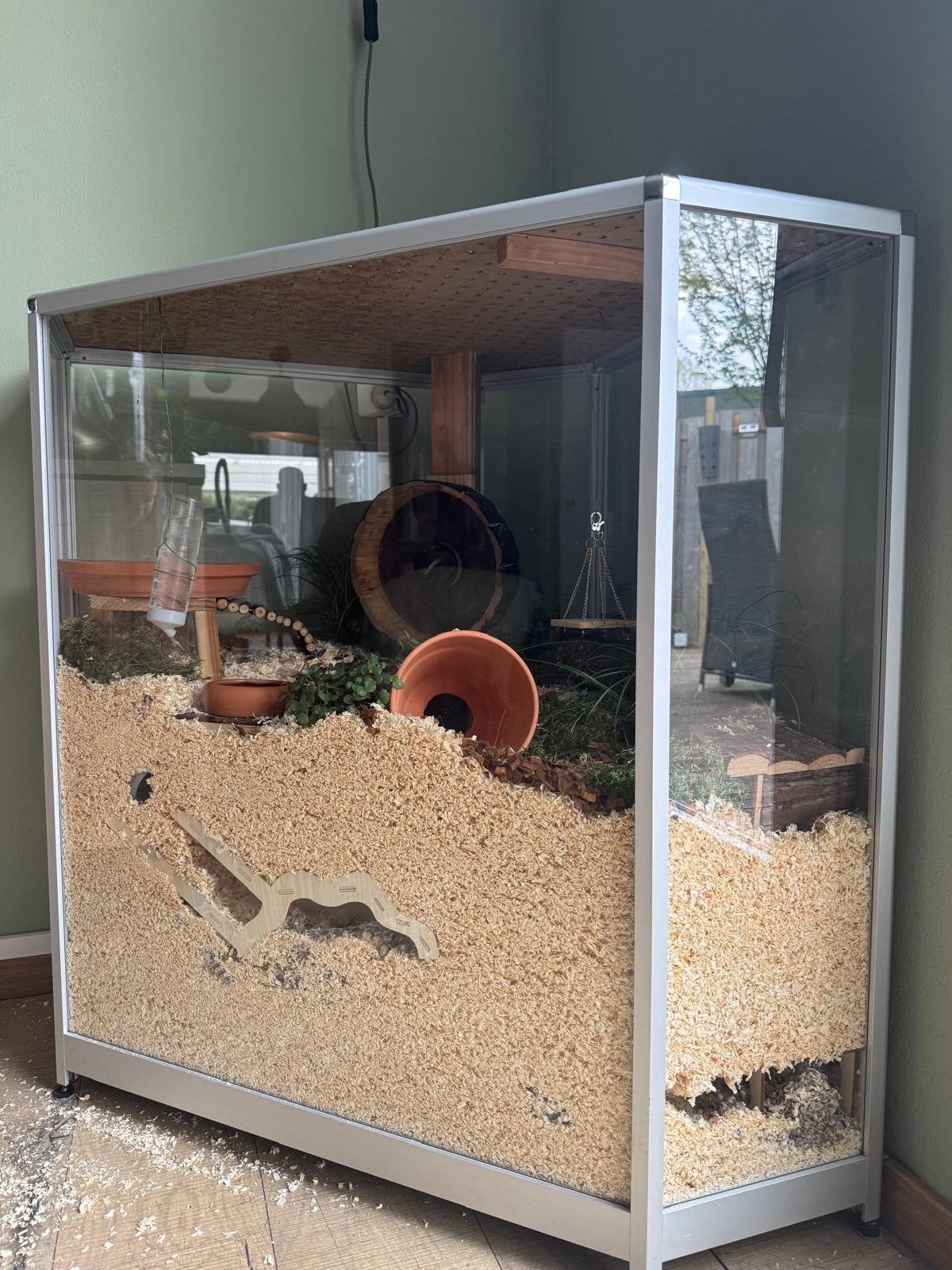 Kleine en grote terraria, Ophalen, Gebruikt, Terrarium of Paludarium