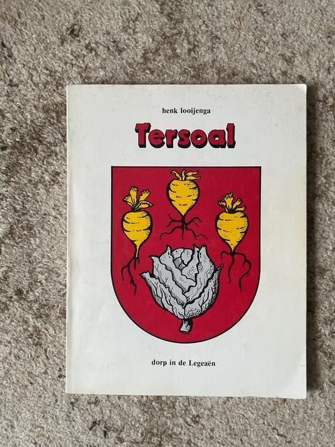 boek Tersoal dorp in de Legeaen, Ophalen of Verzenden, Zo goed als nieuw, Henk Looijenga