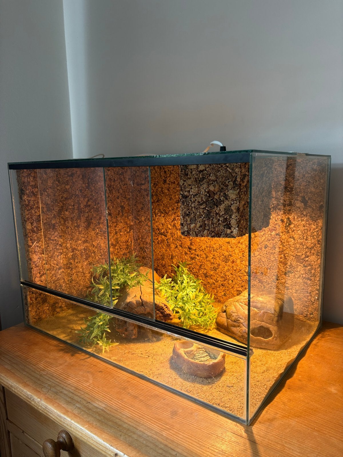 terrarium met warmtelamp, Dieren en Toebehoren, Reptielen en Amfibieën | Toebehoren, Ophalen, Zo goed als nieuw, Terrarium of Paludarium