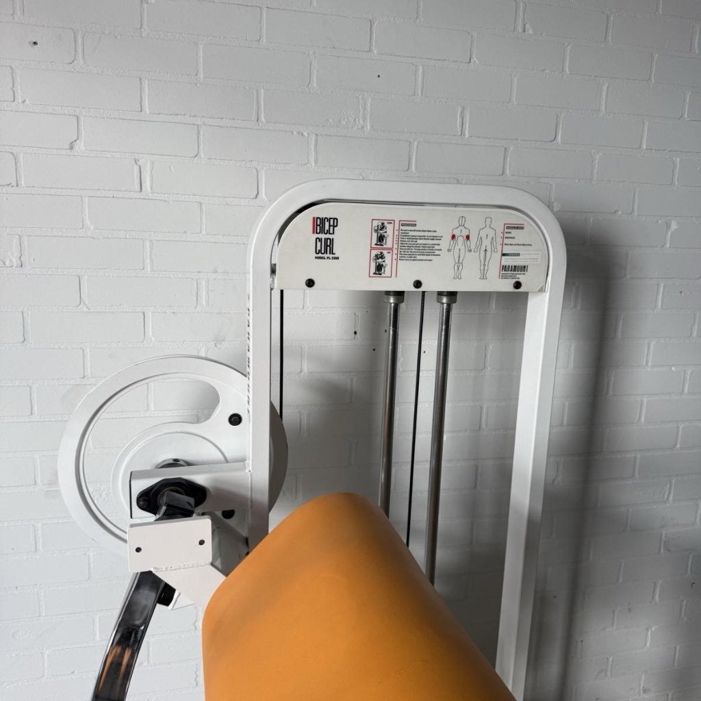 Paramount bicep curl/ bizeps/ bizep / preacher, Gebruikt, -, -, Overige typen
