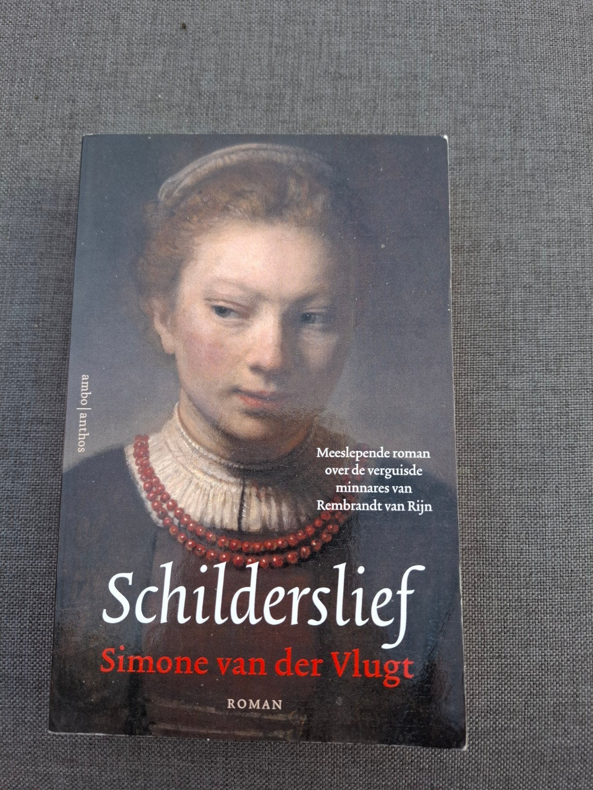 Simone van der Vlugt - Schilderslief, Ophalen of Verzenden, Zo goed als nieuw, Simone van der Vlugt