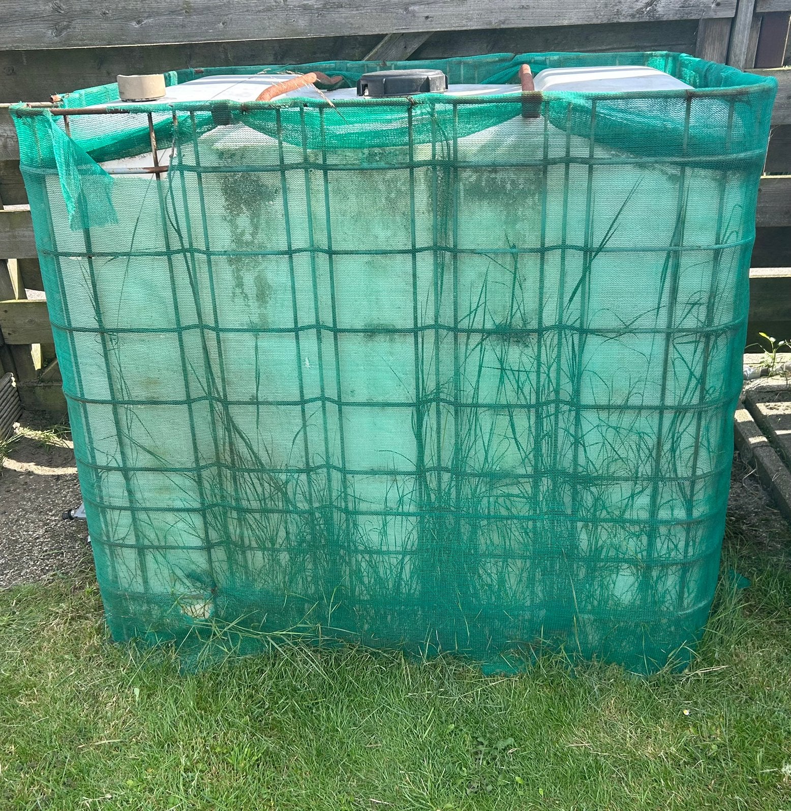 IBC Watertank 1000L met metalen kooi, Tuin en Terras, Ophalen, Zo goed als nieuw, Minder dan 10 meter