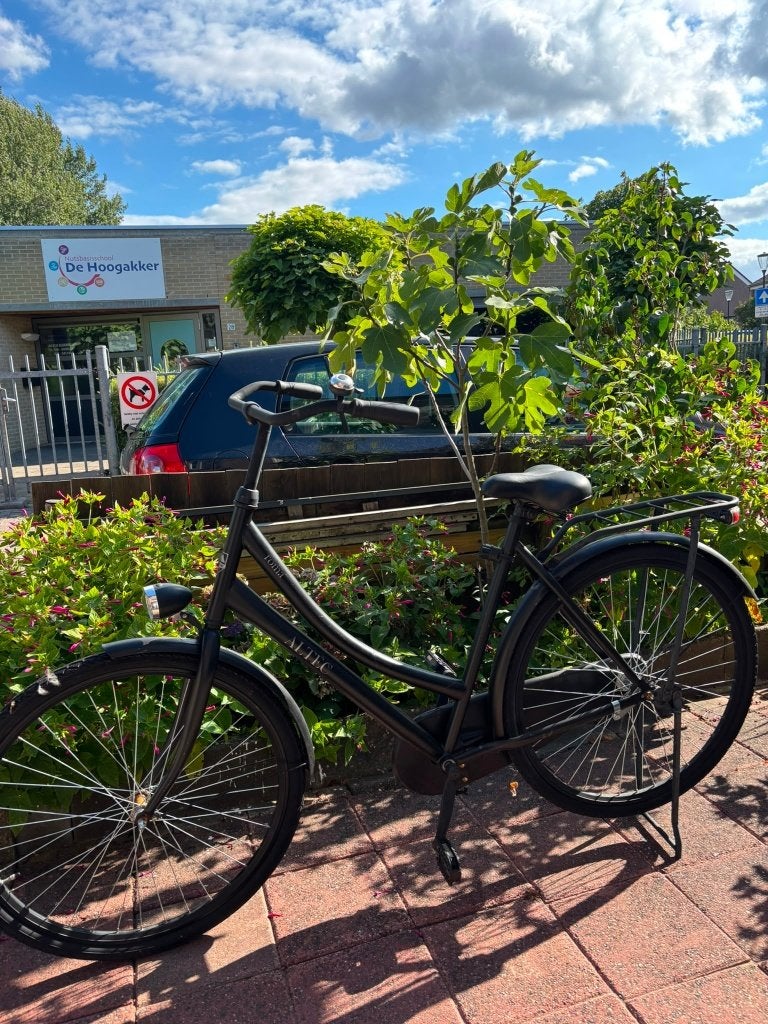 Altec fiets, zo goed als nieuw, Ophalen, Altec, Velgrem, 50 tot 53 cm