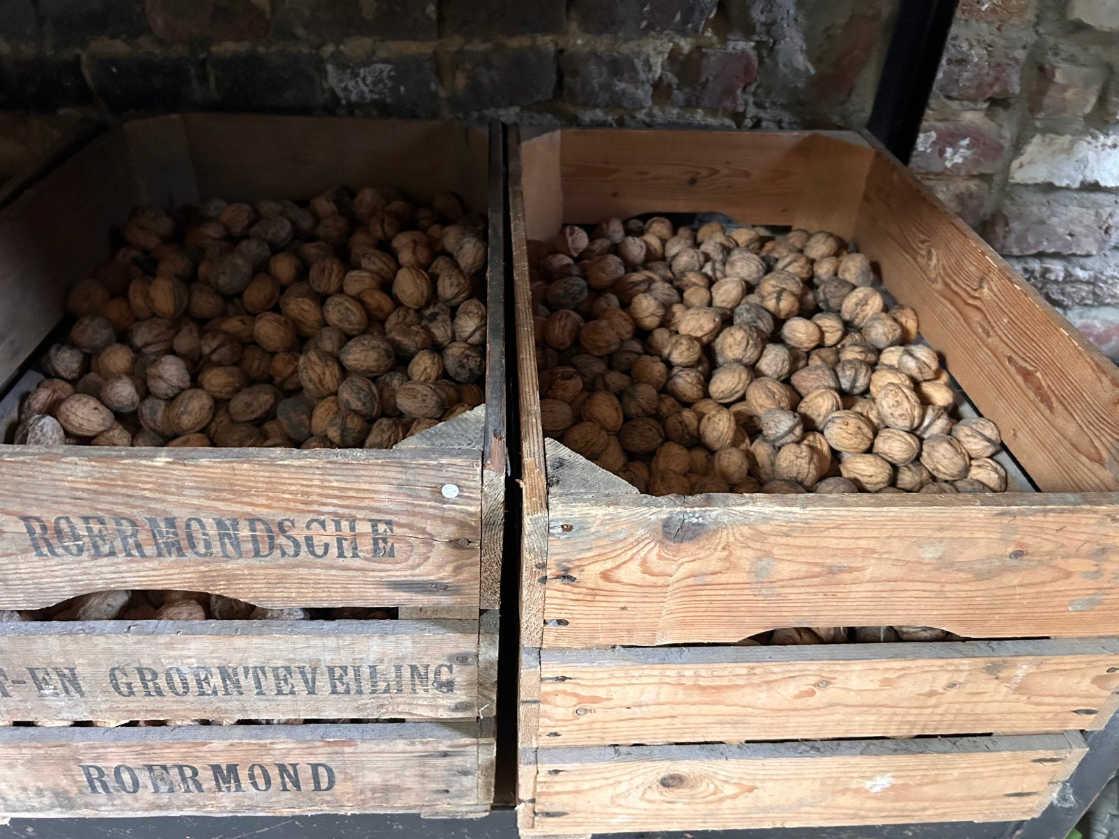 Verse walnoten 40kilo+, Ophalen