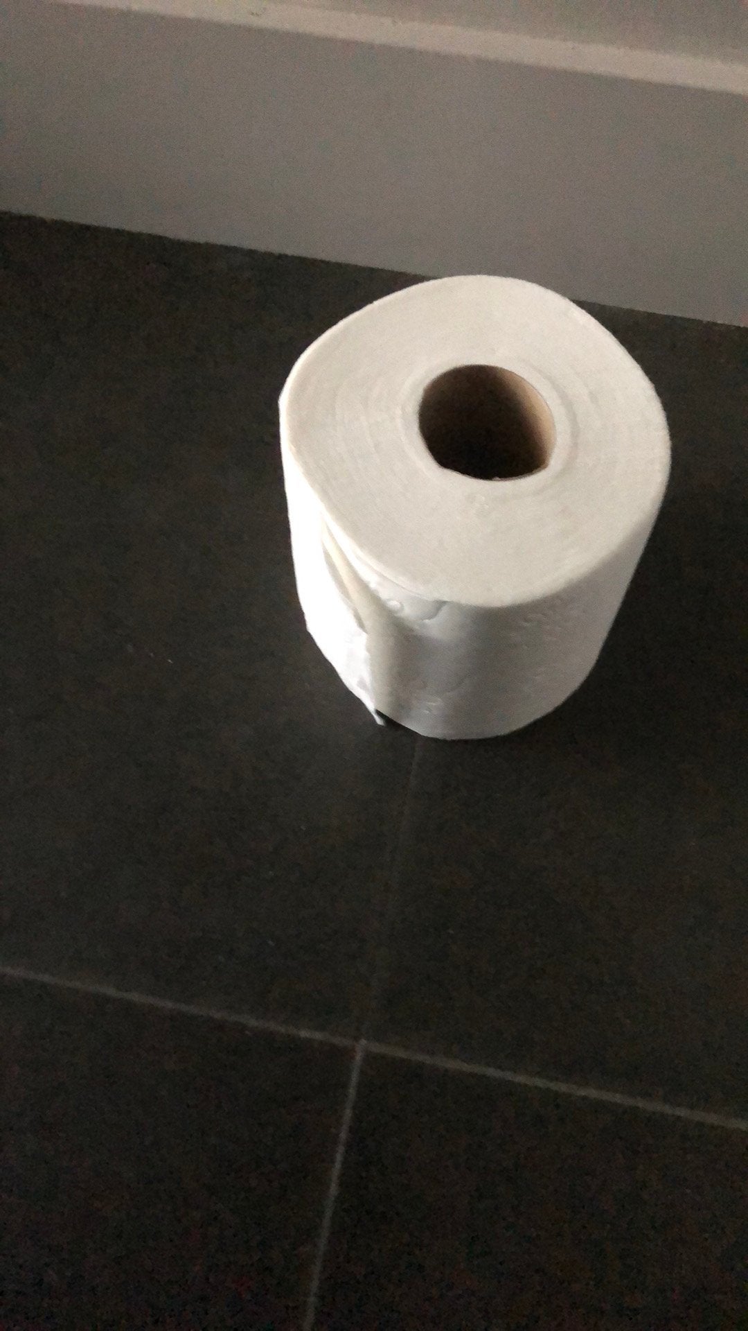 Wc rol, Ophalen, Nieuw, Minder dan 5 m², Folie