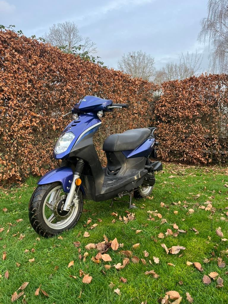 Sym orbit 50 snorscooter, Ophalen, Zo goed als nieuw, Benzine, 50 cc